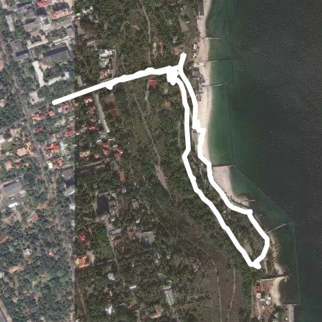 Шампанский-Дельфин