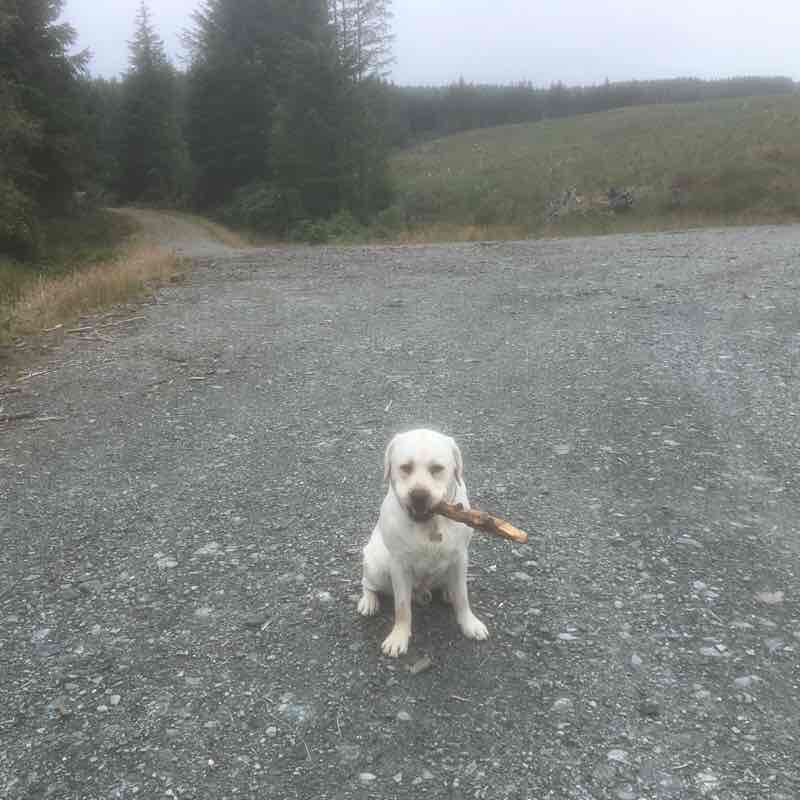 Dunloskin walking route map in Kirn