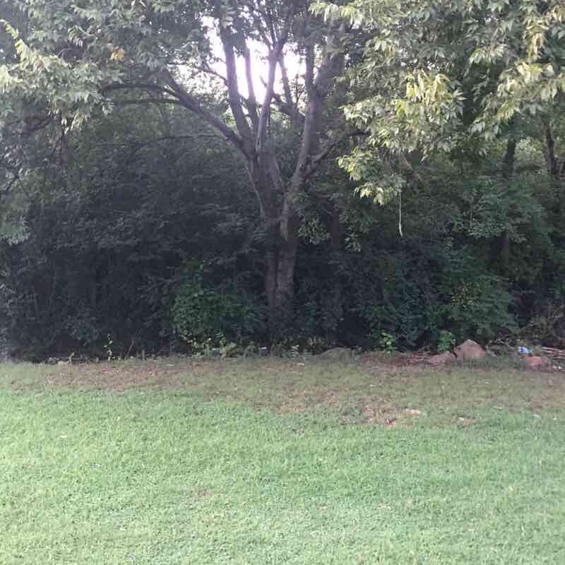 Ozark walking route map in Ozark