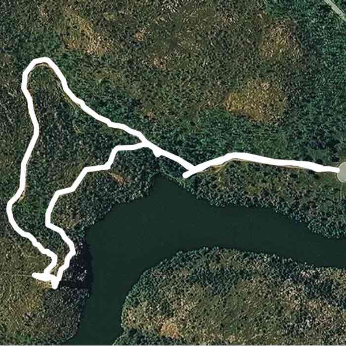 Jed Johnson tower trail