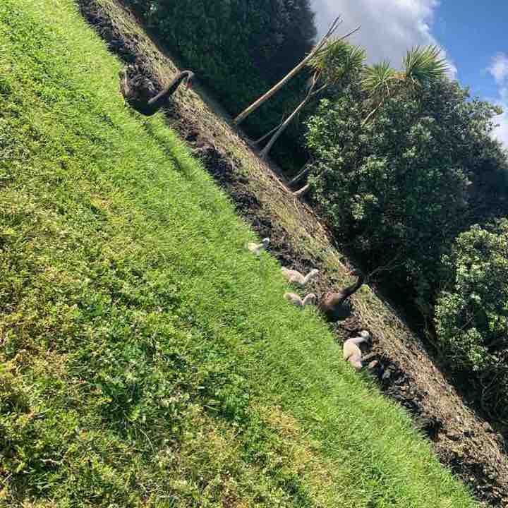 Ambury Regional.  Park