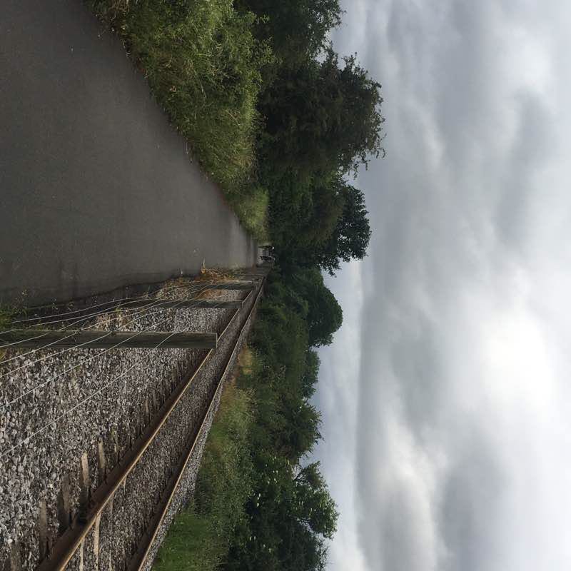 Cycling bath from Bristol to Bath city centre. 