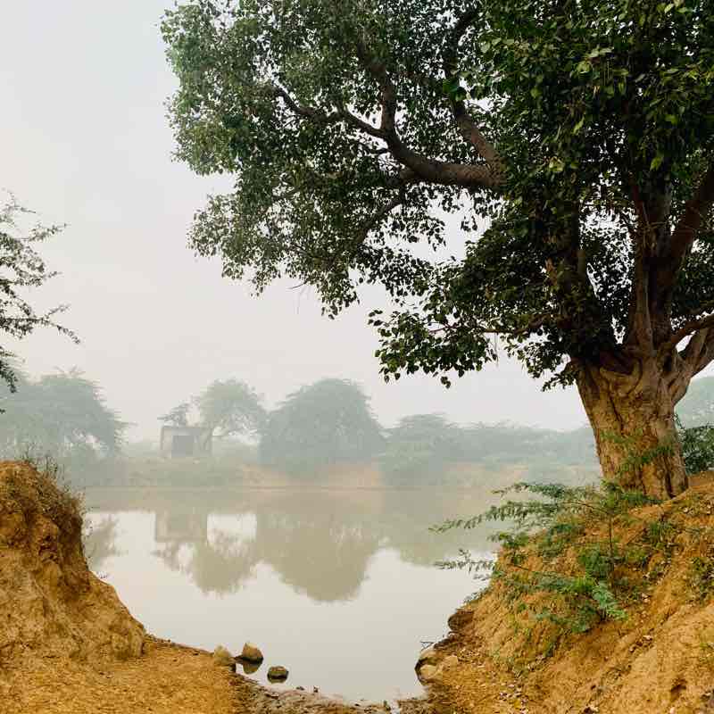 The Great Aravali Run