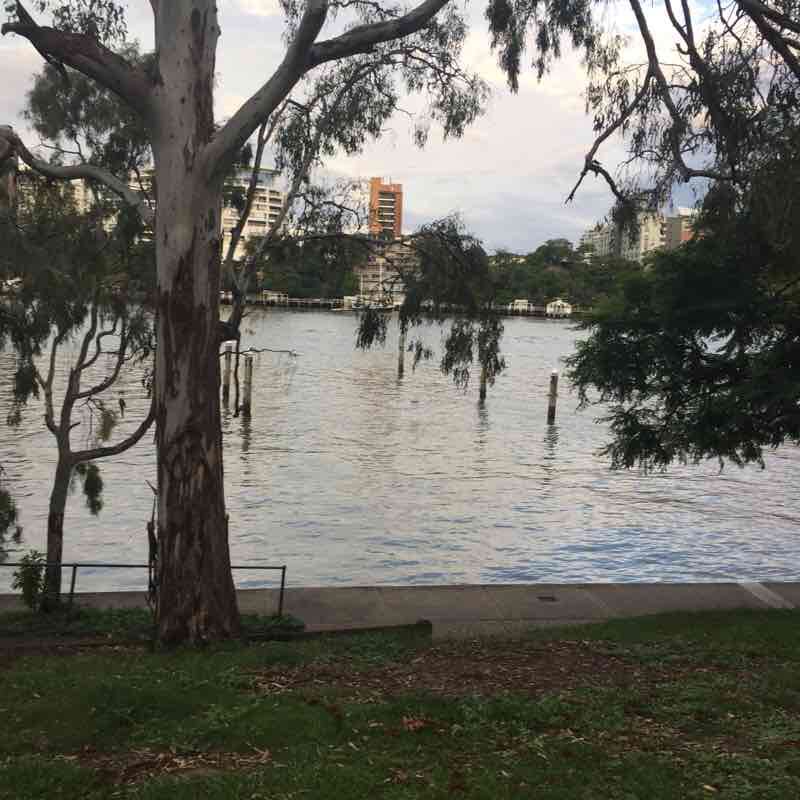 Brisbane city bike way Trail Queensland, Australia Pacer