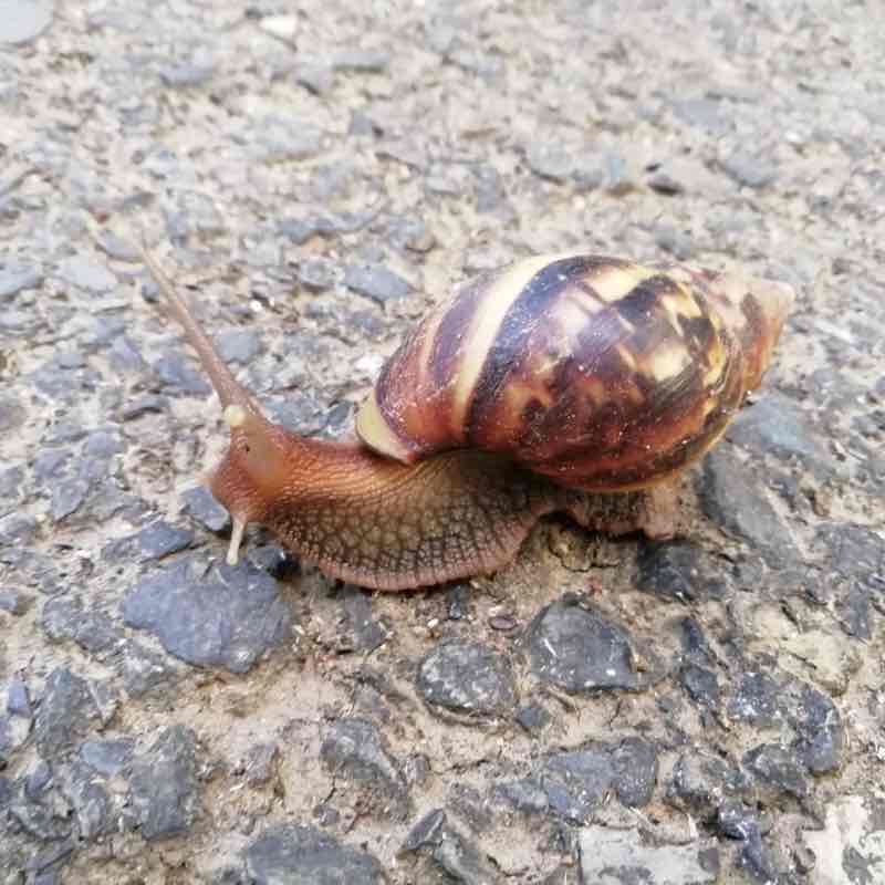 Swarn Jayanti (Millennium) Park, Indirapuram 