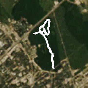 Прогулка на лыжах