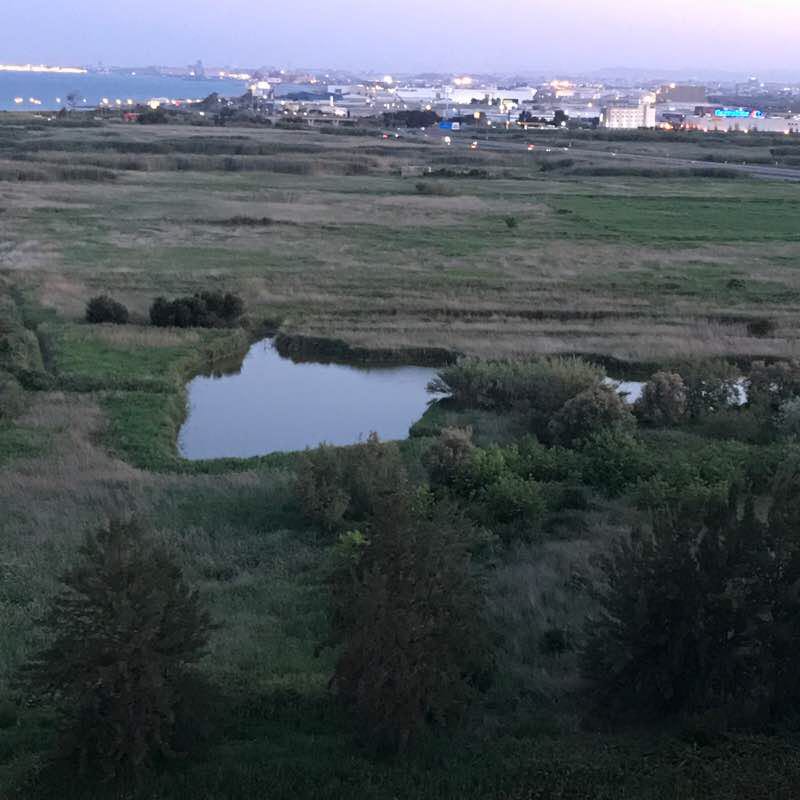 Puig - Playa Pobla Farnals walking route map in El Puig de Santa Maria