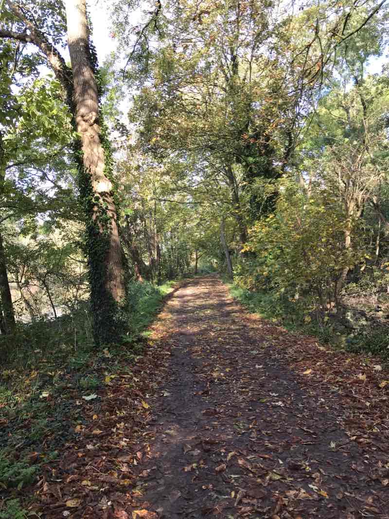 walking near me on Around outside Kew Gardens walking route