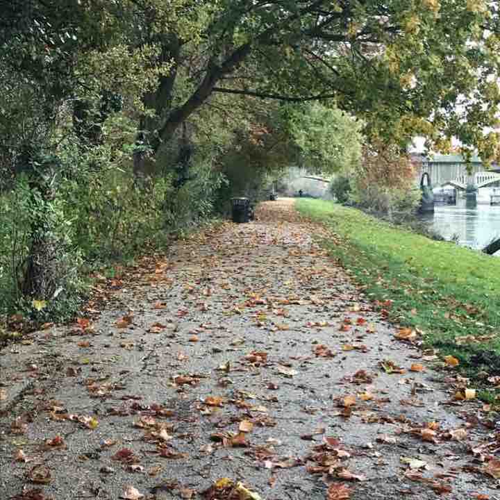 From the Kew to the river Thames