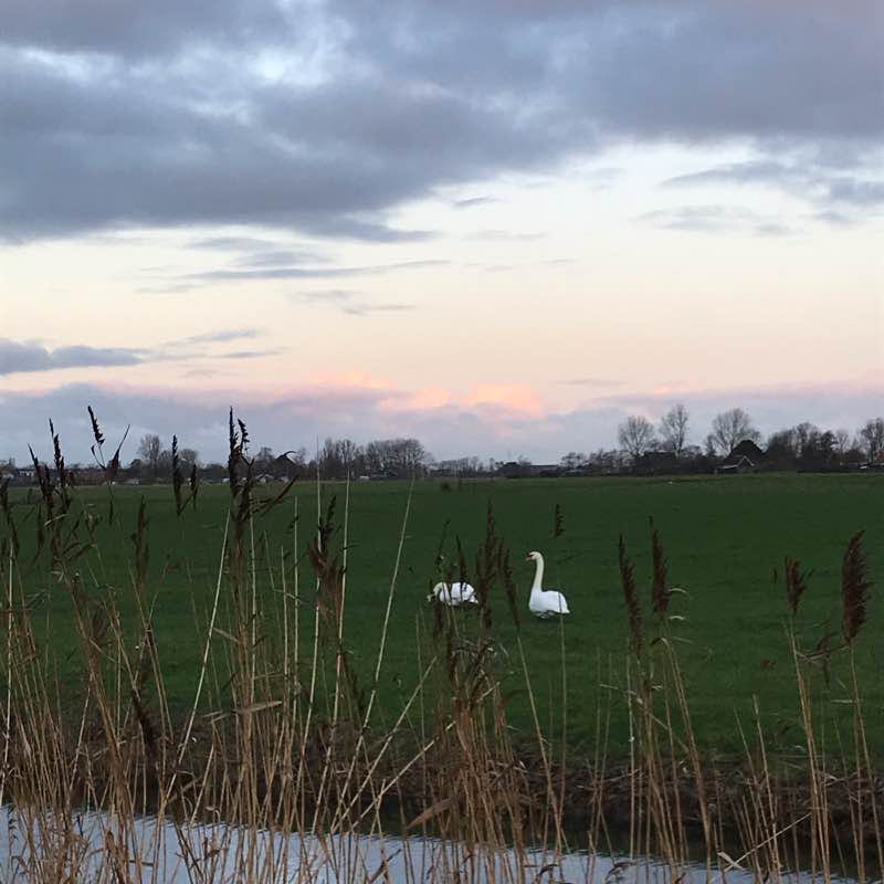 Xmas easy jogging route walking route map in Schagen