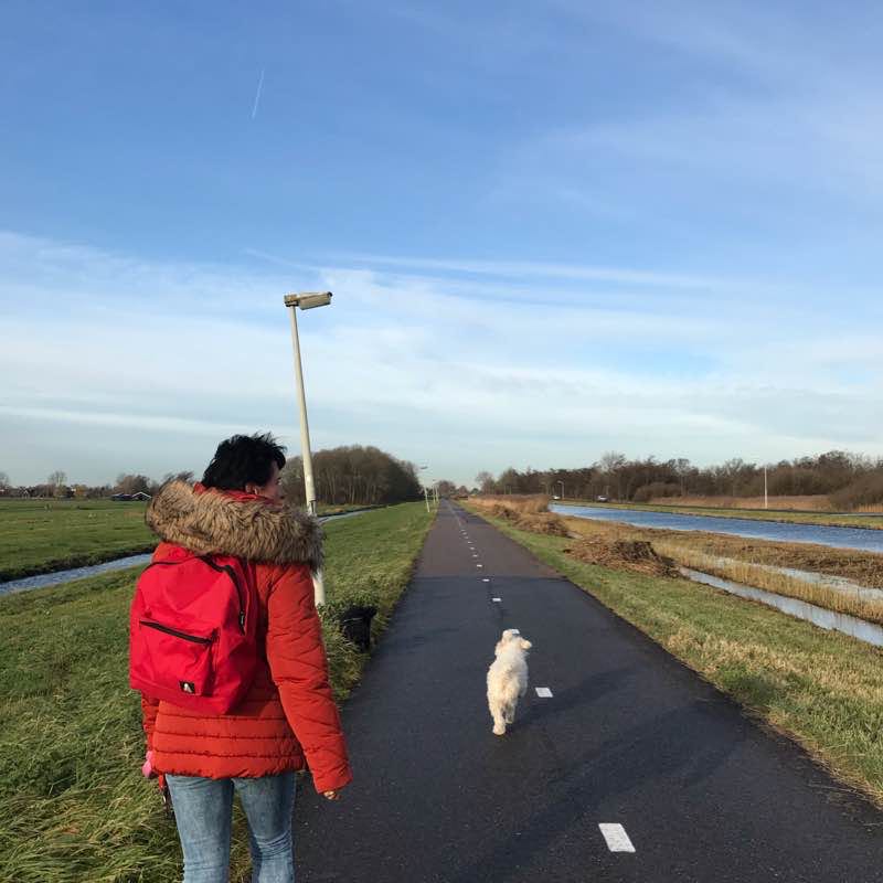 Walking in the Westzaan walking route map in Westzaan