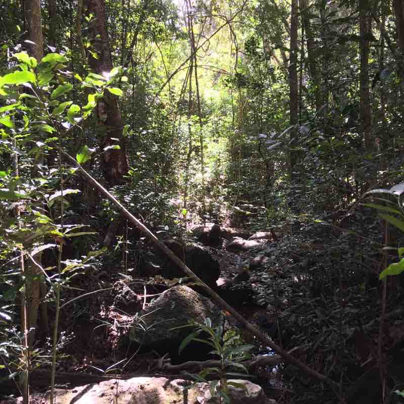 Black lemur Park  walking route map in Antanatsimanaja