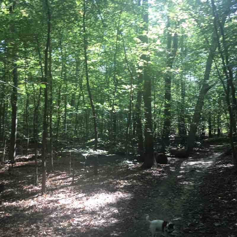 Rockburn, Pain Cave, Belmont, & Nacho Trail Walk Elkridge, Maryland