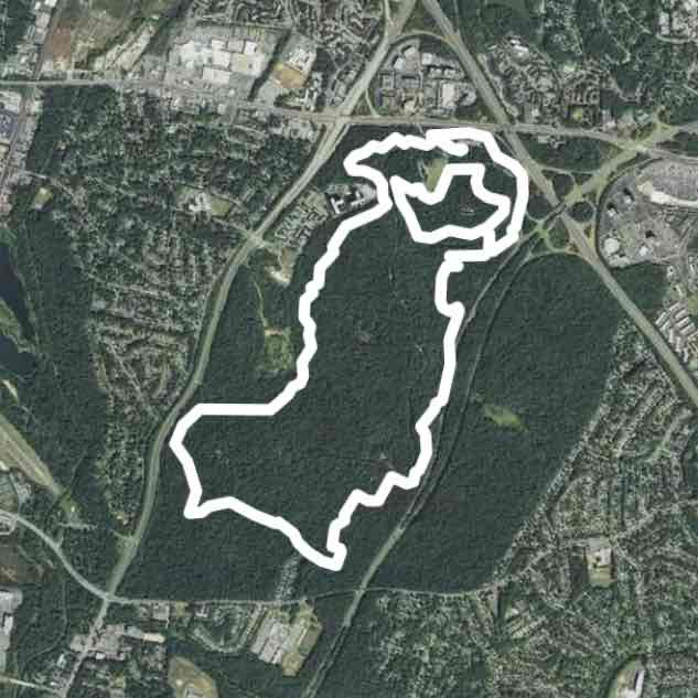 Perimeter and Azalea Trails
