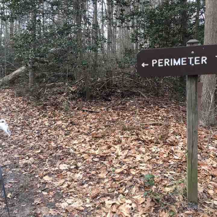 route