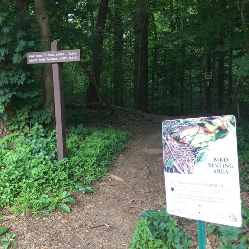 Holly, Valley, Pine, Dim, & Western Ridge Trail Combo walking route map in Takoma Park