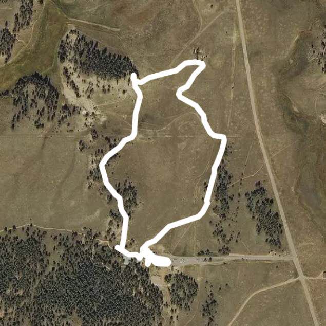 Petrified Forest Loop: Florissant Fossil Beds