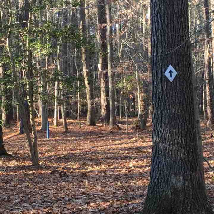 Key Wallace Trail: Blackwater Ntl Wildlife Refuge walking route map in Cambridge