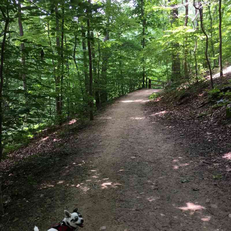 Muddy and Valley Trail Loop  walking route map in Takoma Park