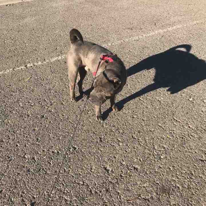 Return to the Port walking route map in Port de Sagunt