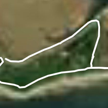 South Walney Reserve