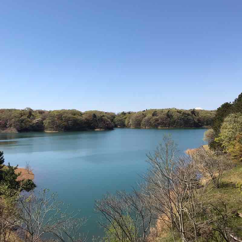 A circuit around the lake walking route map in Higashimurayama