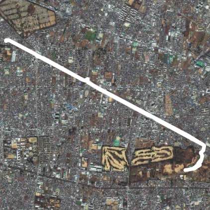 朝の公園までのランニング。