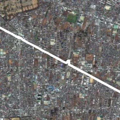 桜🌸の回廊のお散歩🚶‍♀️。