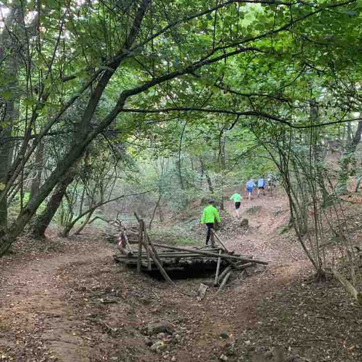 Segui la traccia in mezzo si boschi 