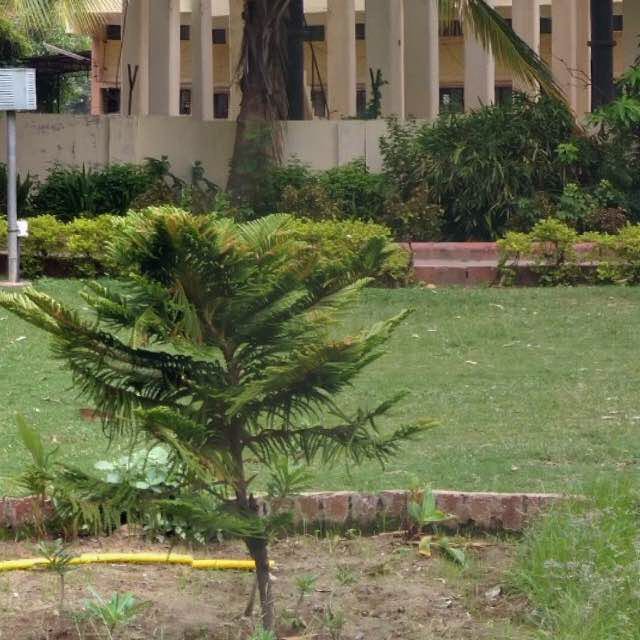 Akota Garden Walk walking route map in Vadodara