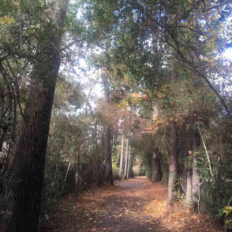 Grogans Mill Village Loop