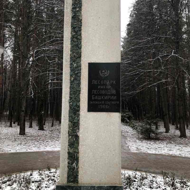 Парк Лесоводов