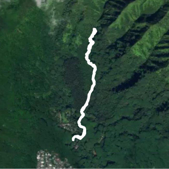 manoa falls trail