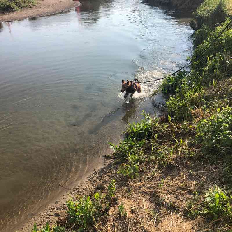 Columbus Park walking route map in Columbus