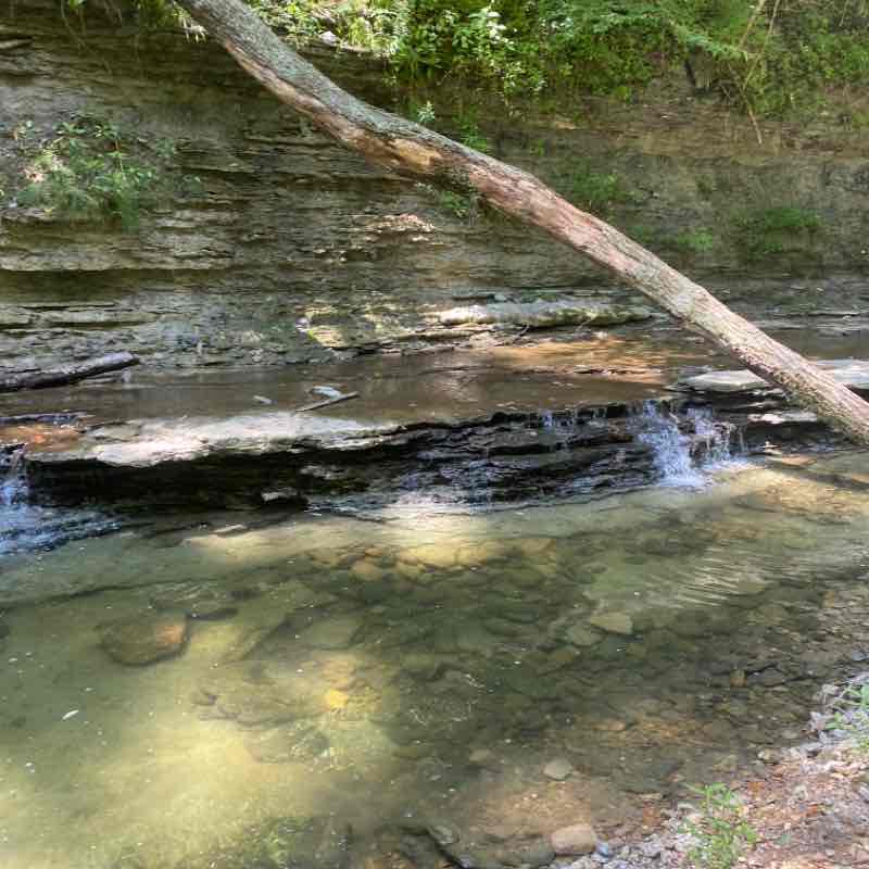 Clifty Park trail 8/2