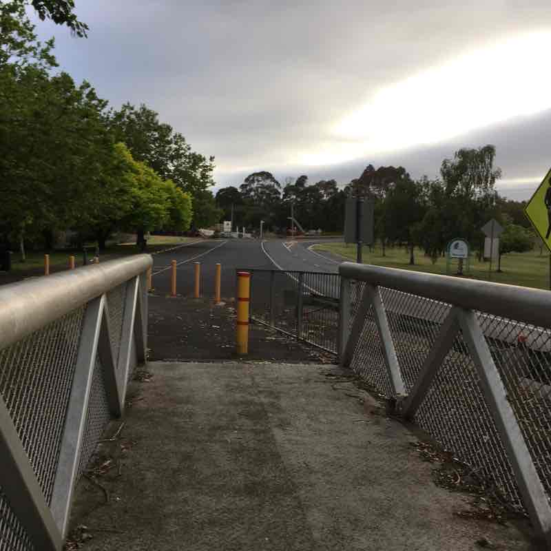 My Every Morning Walk