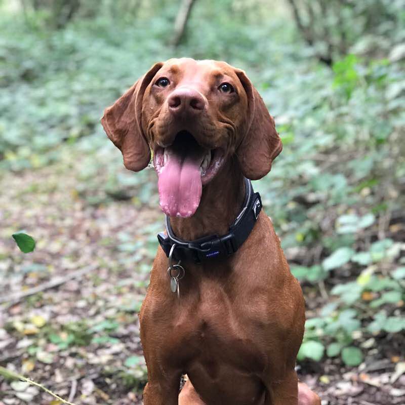 Middleton Morecambe nature reserve 