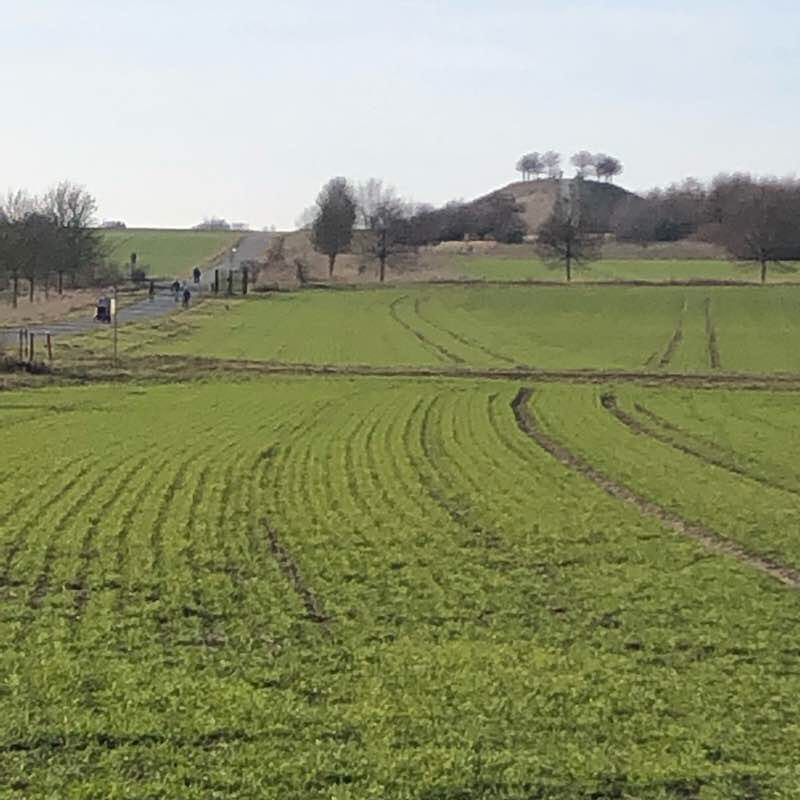Kronsberg and surroundings walking route map in Hannover