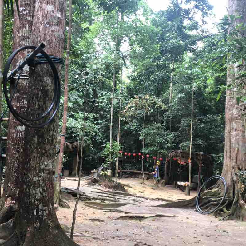 蕉賴阿伯山（阿明路）