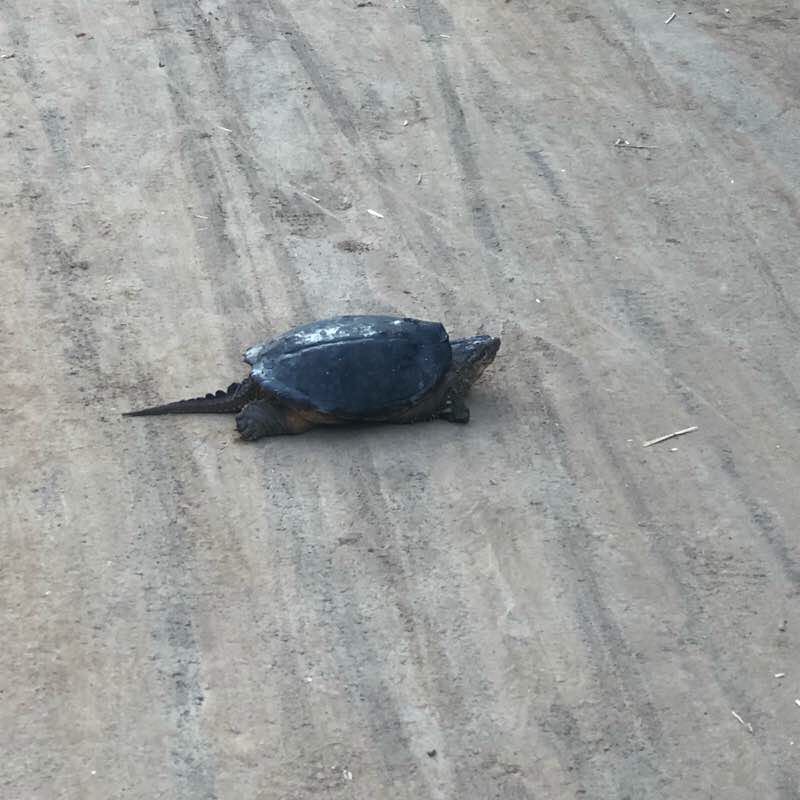 Cane Ridge To Lenox Village Bike Trail walking route map in La Vergne