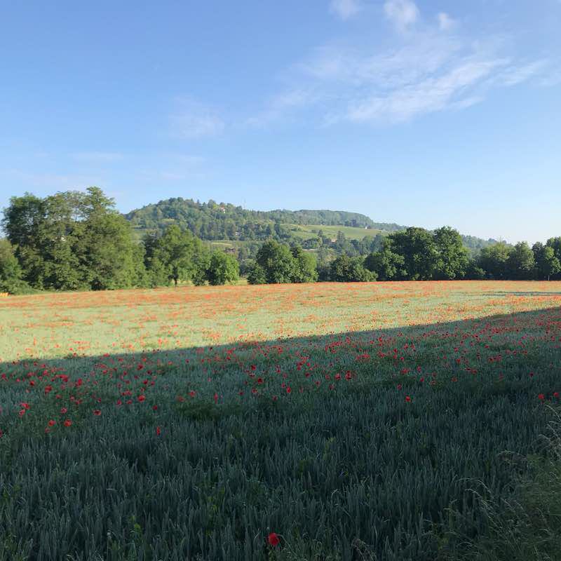 Two Countries run between Germany and Switzerland walking route map in Riehen
