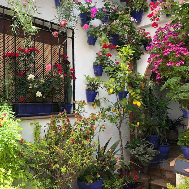 Cordoba walk walking route map in Las Quemadas