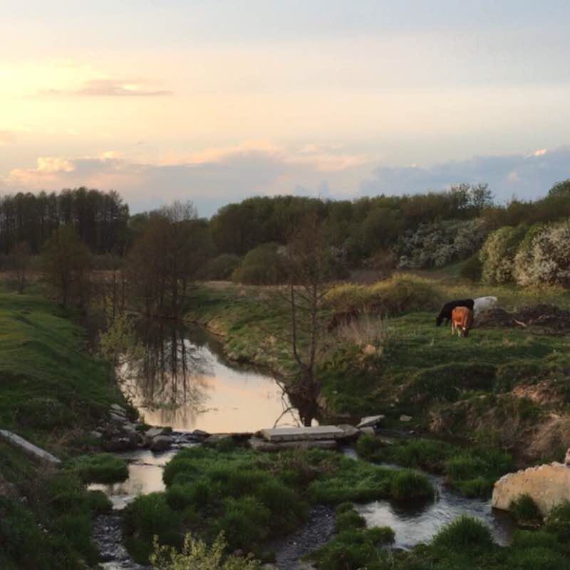 Pesten'kino route walking route map in Pesten'kino