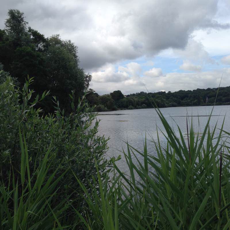 The viry-grigny lakes walking route map in Ris-Orangis