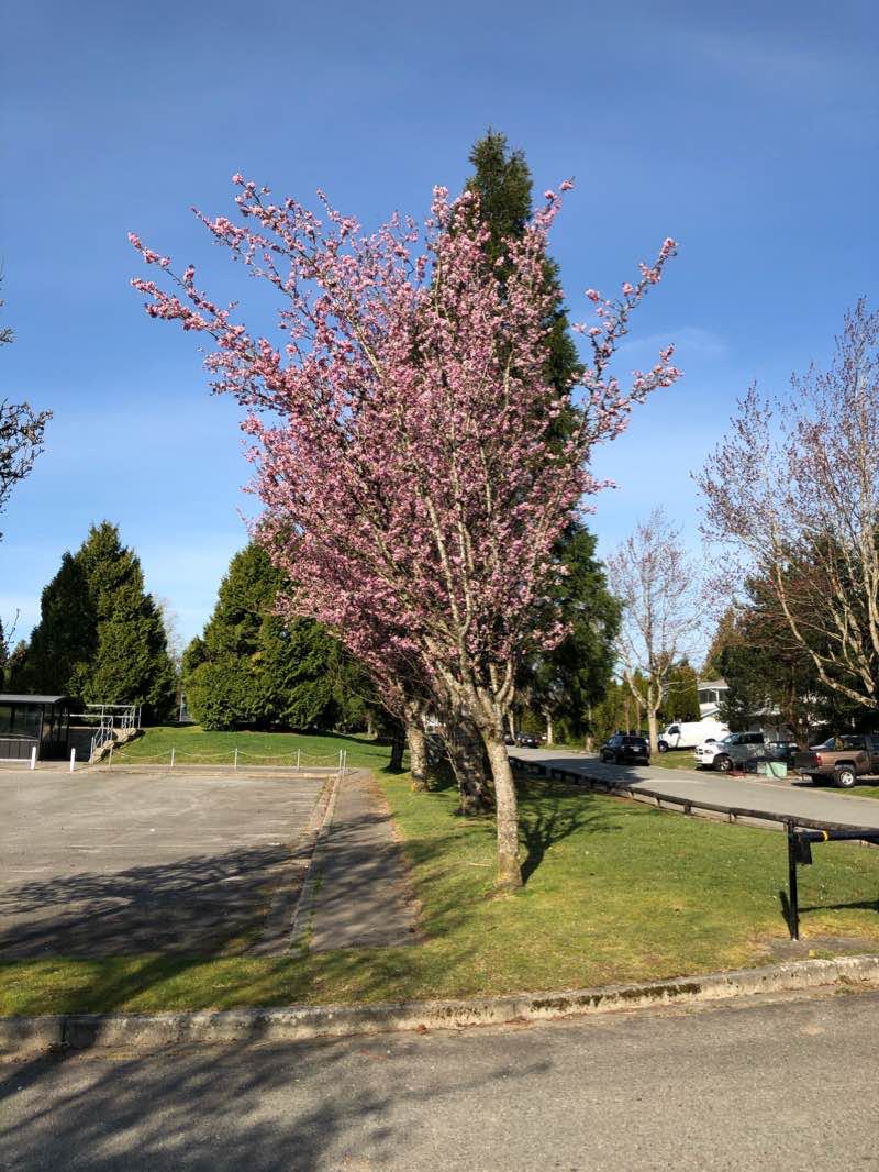 walking near me in 34A - Utility ROW in winter