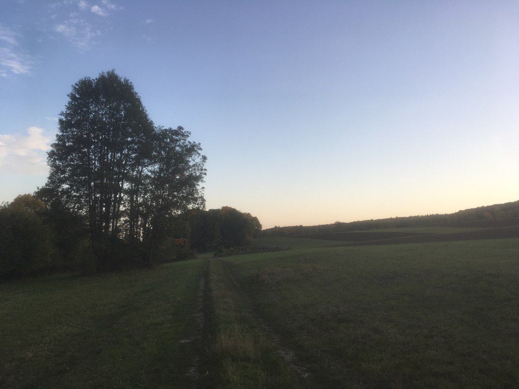 Schweinfurter Haus Naturlehrpfad Basaltwand Wanderweg