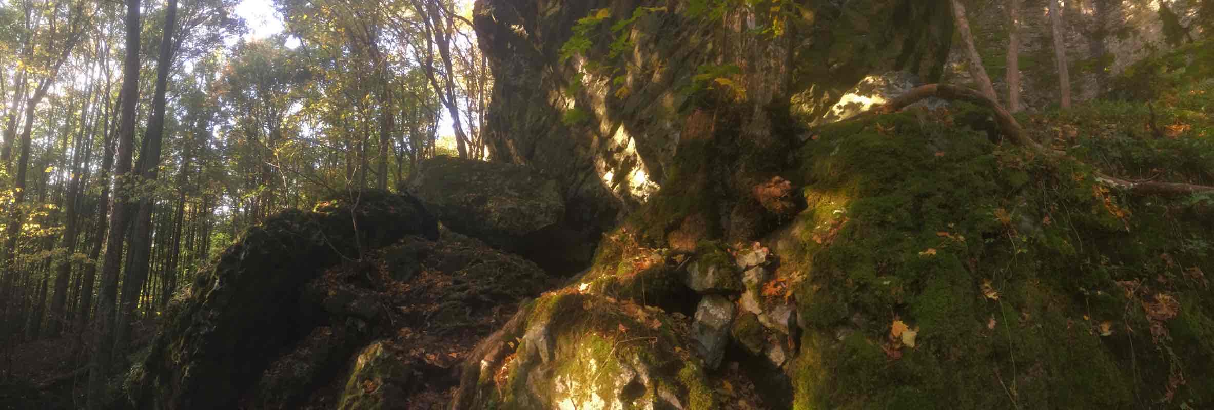 Schweinfurter Haus Naturlehrpfad Basaltwand Wanderweg