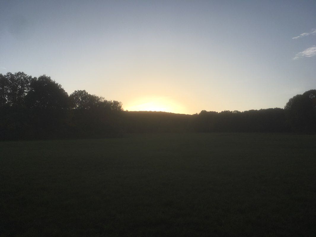 Schweinfurter Haus Naturlehrpfad Basaltwand Wanderweg