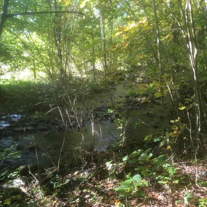 Schweinfurter house, nature trail, basalt wall walking route map in Oberelsbach