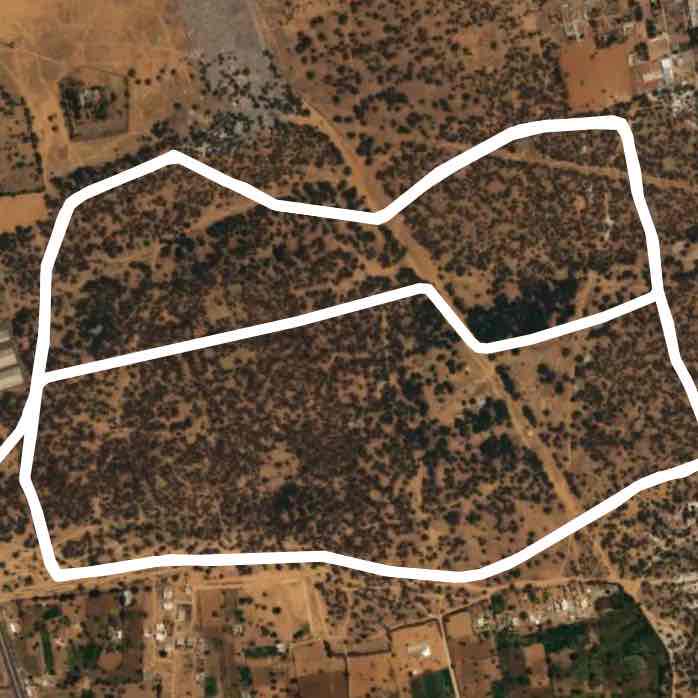 Morning easy run